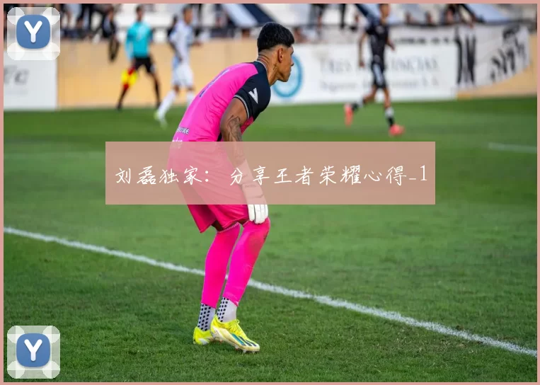 刘磊独家：分享王者荣耀心得_1