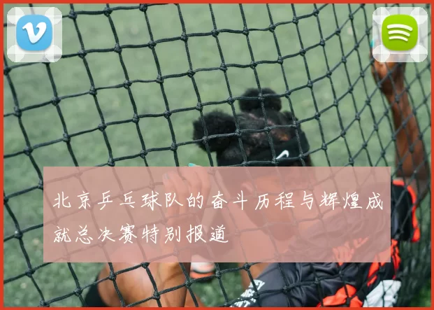 北京乒乓球队的奋斗历程与辉煌成就总决赛特别报道