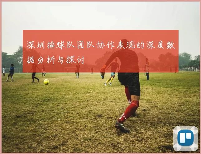 深圳排球队团队协作表现的深度数据分析与探讨