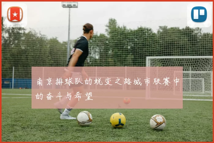 南京排球队的蜕变之路城市联赛中的奋斗与希望