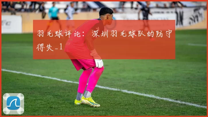 羽毛球评论：深圳羽毛球队的防守得失_1