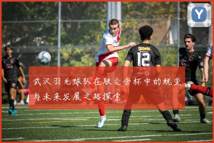 武汉羽毛球队在联合会杯中的蜕变与未来发展之路探索