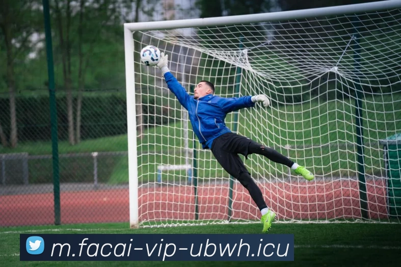 九游体育注册品牌故事