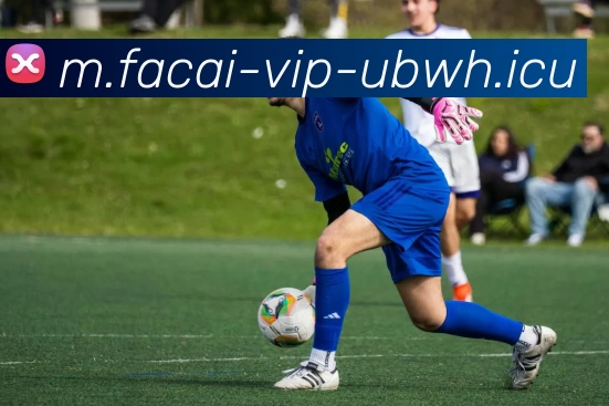 九游体育注册服务体系